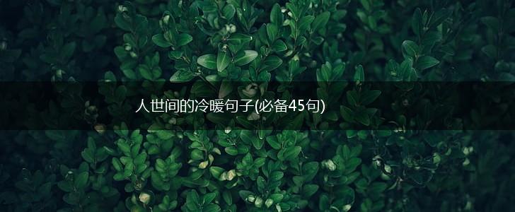 人世间的冷暖句子(必备45句),第1张