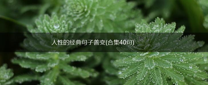 人性的经典句子善变(合集40句),第1张