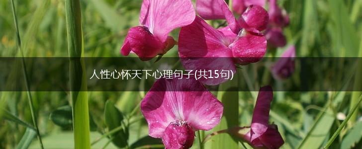 人性心怀天下心理句子(共15句),第1张