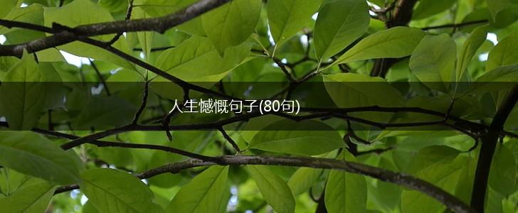 人生憾慨句子(80句),第1张