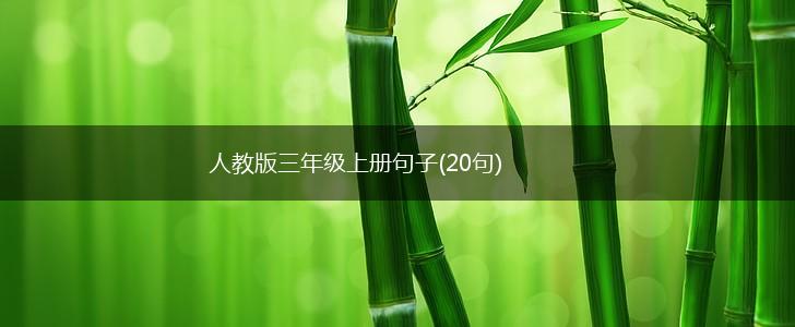 人教版三年级上册句子(20句),第1张