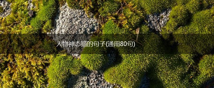 人物神态描的句子(通用80句),第1张