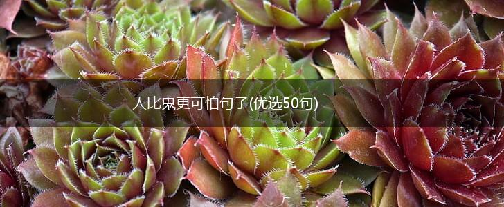 人比鬼更可怕句子(优选50句),第1张