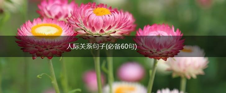 人际关系句子(必备60句),第1张