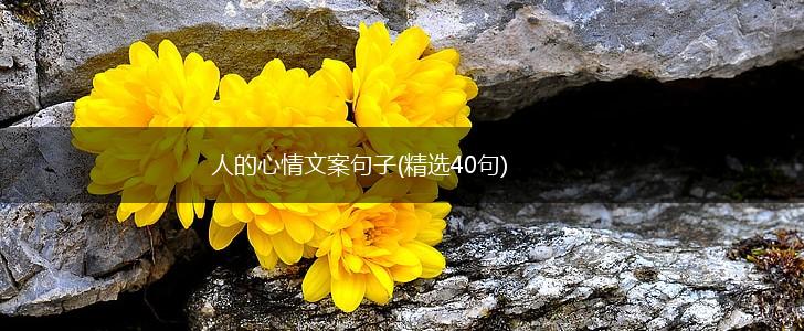 人的心情文案句子(精选40句),第1张