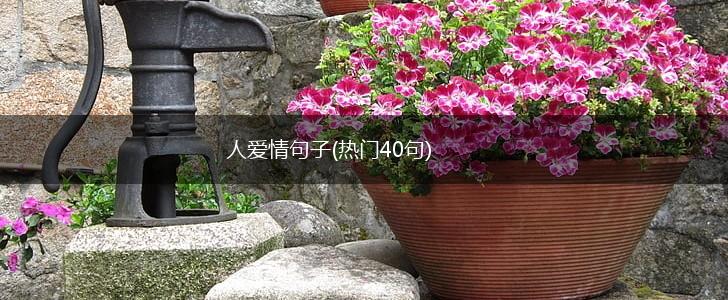 人爱情句子(热门40句),第1张