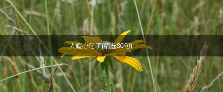 人暖心句子(精选80句),第1张