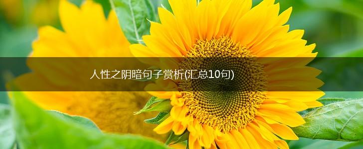 人性之阴暗句子赏析(汇总10句),第1张
