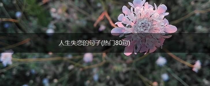 人生失恋的句子(热门80句),第1张