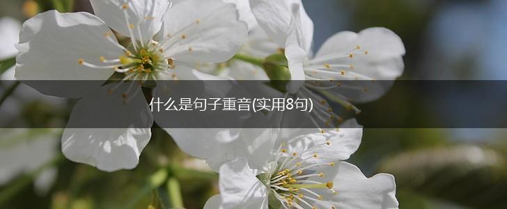 什么是句子重音(实用8句),第1张