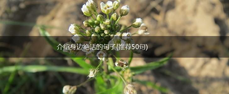 介绍身边绝活的句子(推荐50句),第1张