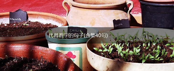 代替看字的句子(合集40句),第1张