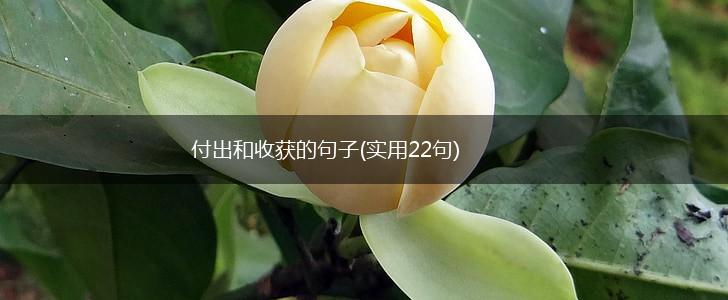 付出和收获的句子(实用22句),第1张