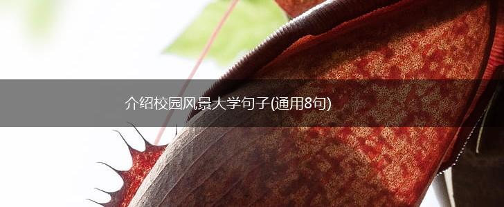 介绍校园风景大学句子(通用8句),第1张