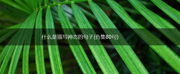 什么是描写神态的句子(合集80句),第1张