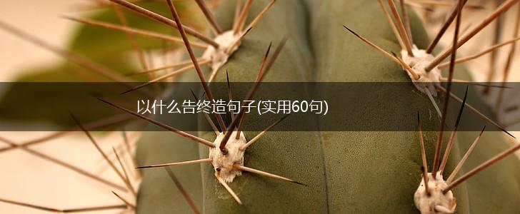 以什么告终造句子(实用60句),第1张