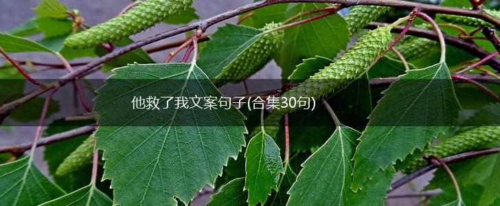 他救了我文案句子(合集30句),第1张