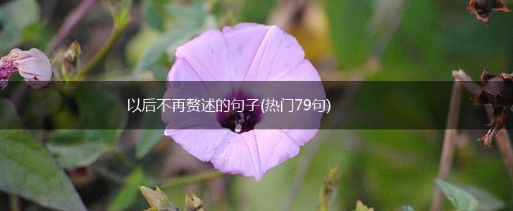 以后不再赘述的句子(热门79句),第1张