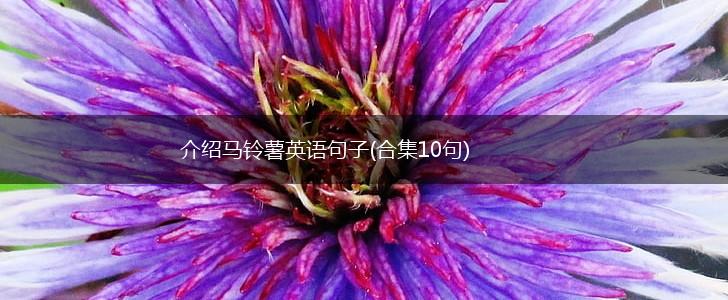介绍马铃薯英语句子(合集10句),第1张