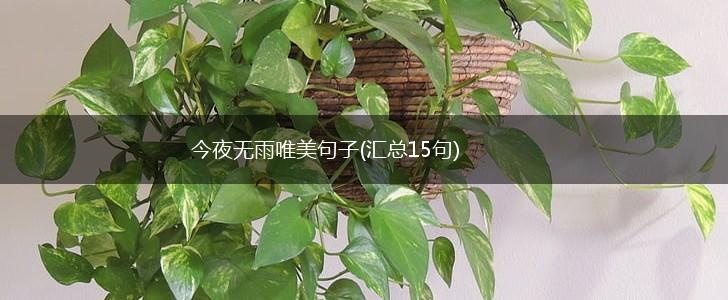 今夜无雨唯美句子(汇总15句),第1张