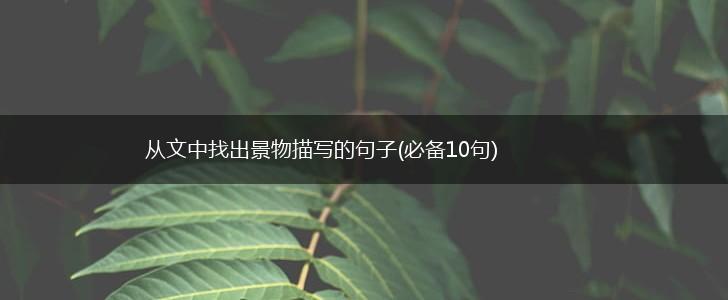 从文中找出景物描写的句子(必备10句),第1张