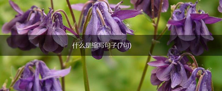 什么是缩写句子(7句),第1张