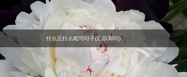什么正什么呢写句子(汇总30句),第1张
