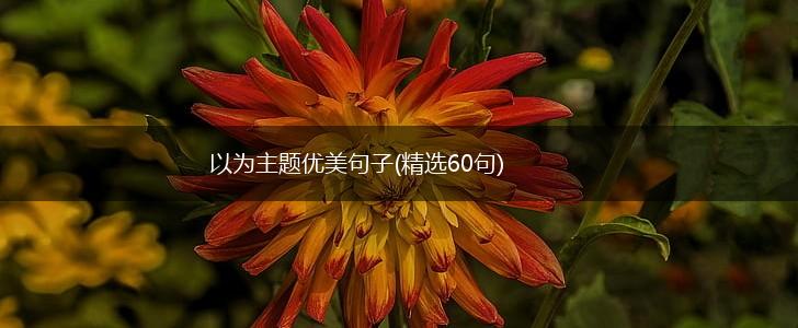 以为主题优美句子(精选60句),第1张