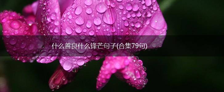 什么善良什么锋芒句子(合集79句),第1张