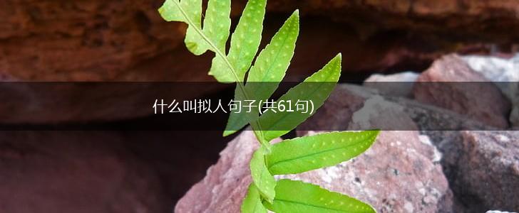 什么叫拟人句子(共61句),第1张