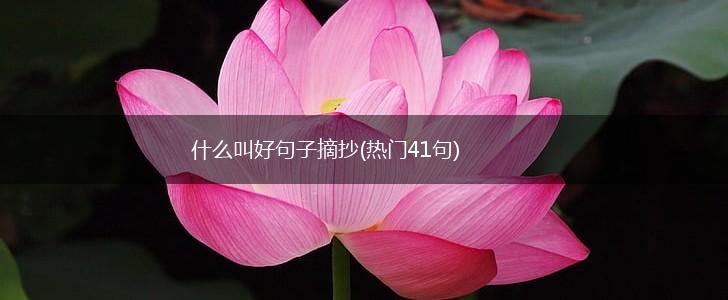 什么叫好句子摘抄(热门41句),第1张