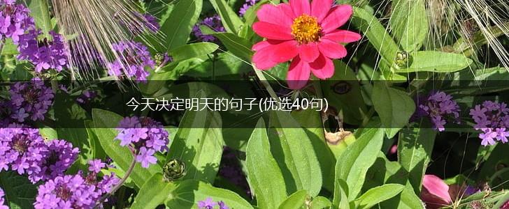 今天决定明天的句子(优选40句),第1张