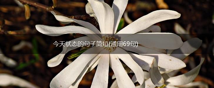 今天状态的句子简短(通用69句),第1张