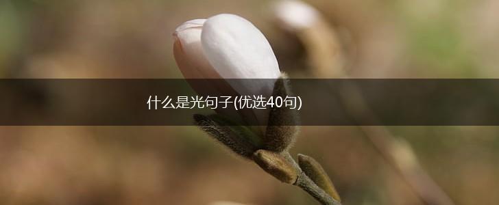 什么是光句子(优选40句),第1张