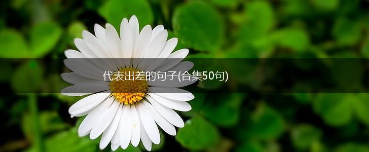 代表出差的句子(合集50句),第1张