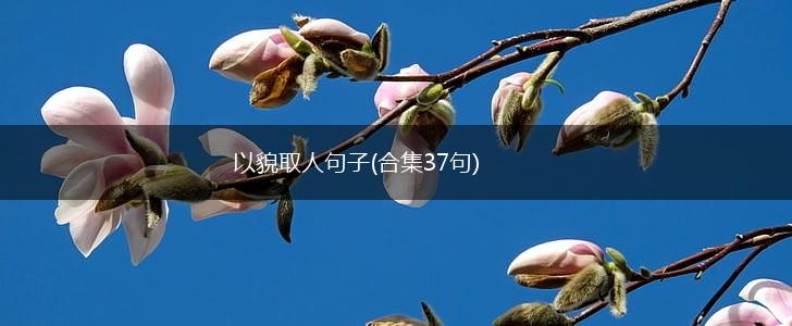 以貌取人句子(合集37句),第1张