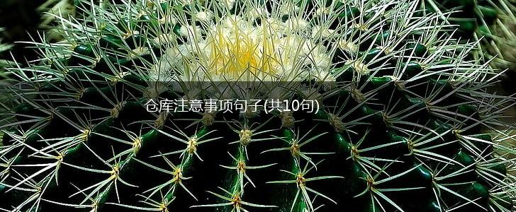 仓库注意事项句子(共10句),第1张