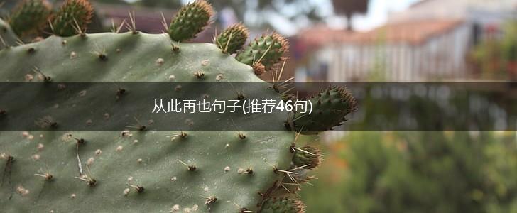 从此再也句子(推荐46句),第1张