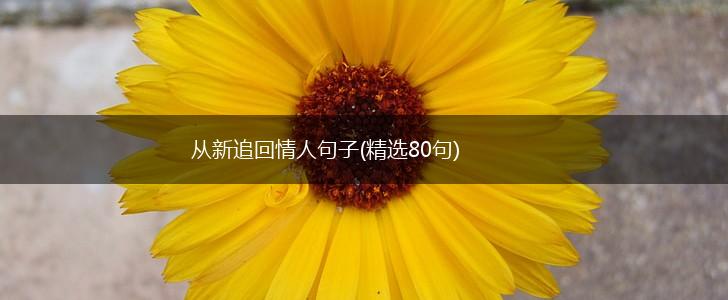 从新追回情人句子(精选80句),第1张