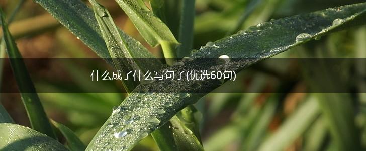 什么成了什么写句子(优选60句),第1张