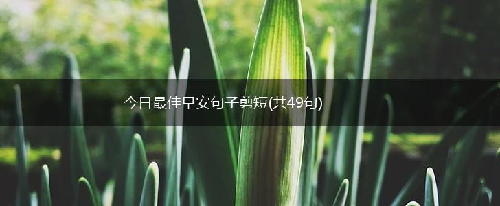 今日最佳早安句子剪短(共49句),第1张