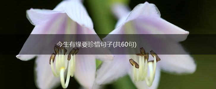 今生有缘要珍惜句子(共60句),第1张