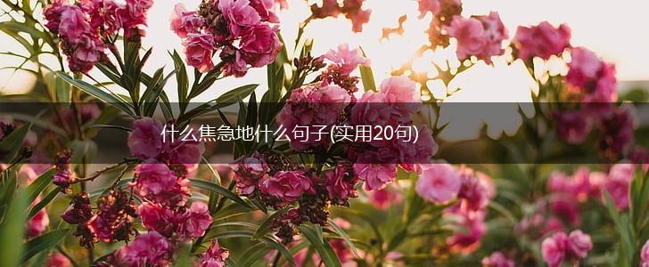 什么焦急地什么句子(实用20句),第1张
