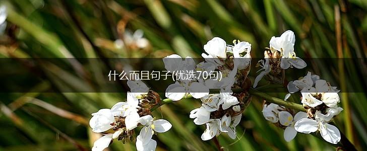 什么而且句子(优选70句),第1张