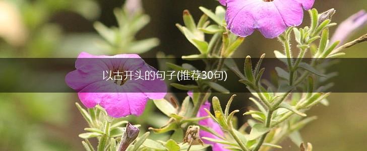 以古开头的句子(推荐30句),第1张