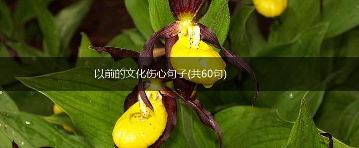 以前的文化伤心句子(共60句),第1张