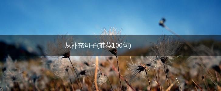 从补充句子(推荐100句),第1张