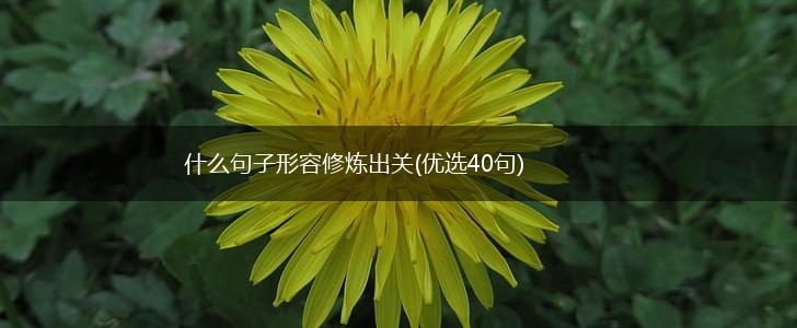 什么句子形容修炼出关(优选40句),第1张