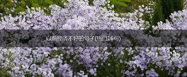 以前经济不好的句子(热门16句),第1张