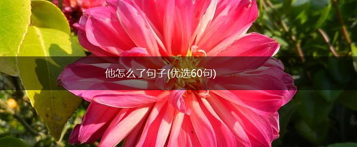他怎么了句子(优选60句),第1张